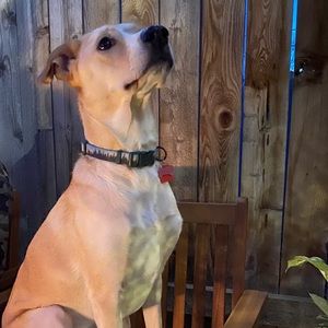 Meet your Posher, Hayley